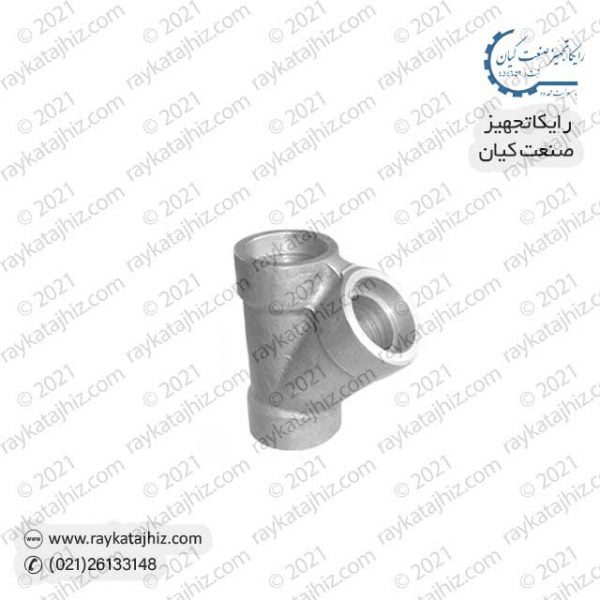 raykatajhiz product socket-weld-45°-lateral-tee