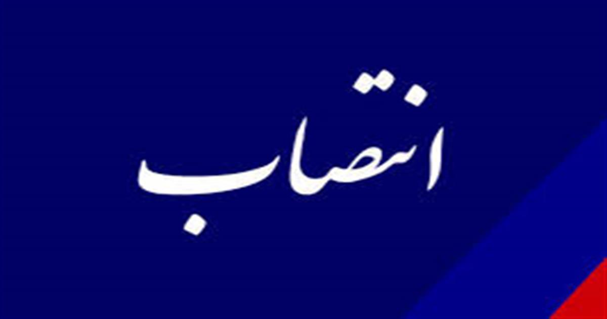 مدیرعامل شرکت توسعه پتروشیمی نگین مکران منصوب شد