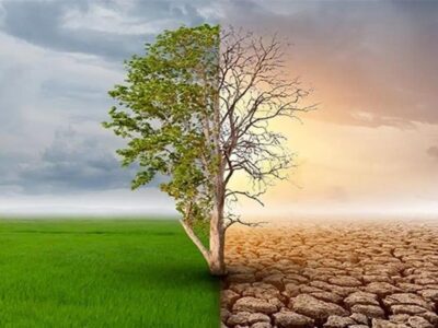 فراز و فرود روند اجرای تعهدات اقلیمی درسال ۲۰۲۶