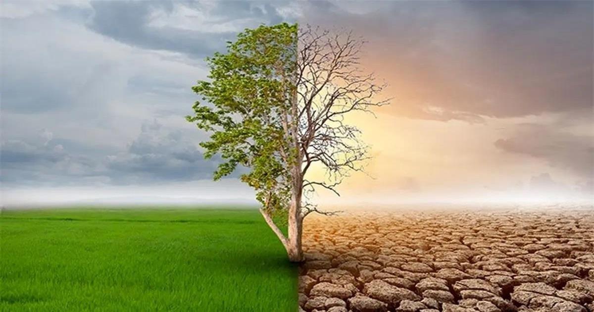 فراز و فرود روند اجرای تعهدات اقلیمی درسال ۲۰۲۶